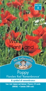 POPPY FLANDERS RED 'REMEMBERANCE' SEED PACKET