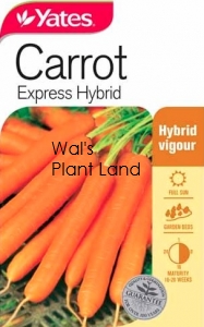 CARROT EXPRESS HYBRID NZ SEED PACKET