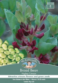 BROAD BEAN HUGHEY SEED PACKET