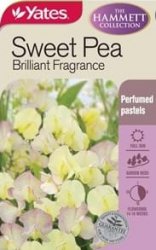 HAMM SWEET PEA BRILLIANT FRAGRANCE SEED PACKET