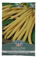 CLIMBING BEAN KENTUCKY WONDER WAX