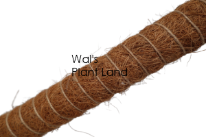 COIR POLE 120CM