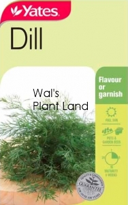 DILL SEED PACKET