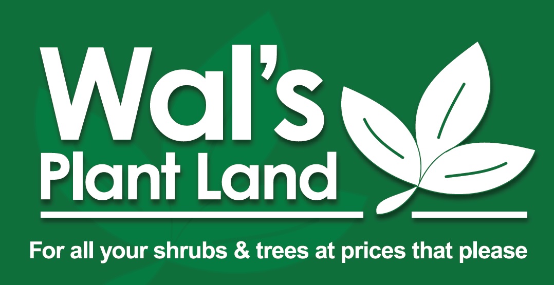 Wals Plant and Fun Land